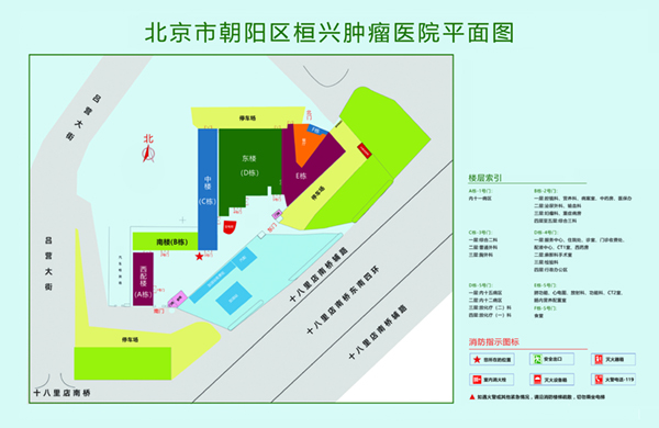 操逼电影导航北京市朝阳区桓兴肿瘤医院平面图